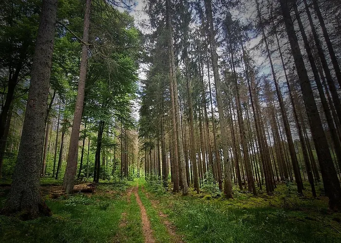 Apartament Vorkastell *