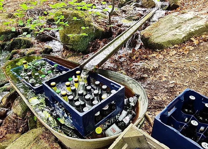 Apartament Vorkastell Borfink