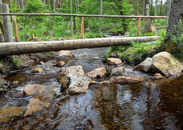 Vorkastell * Borfink