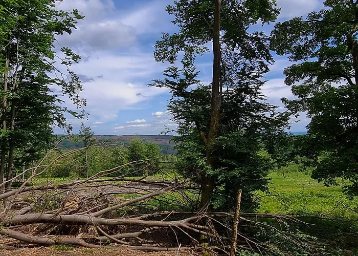 Apartament Vorkastell